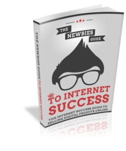 The Newbies Guide To Internet Success