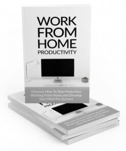 Work From Home Productivity