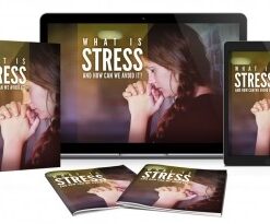 What Is Stress And How We Can Avoid It